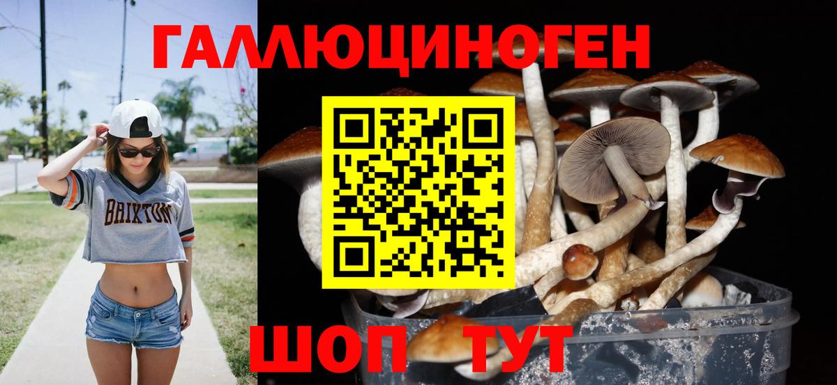 Псилоцибиновые грибы ЛСД  Галлюциногенные грибы Magic Shrooms  где купить наркотик  Киров  Вход с VPN 